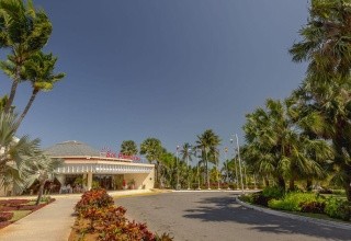 Sol Palmeras