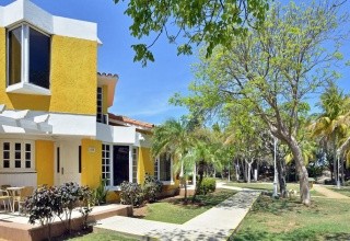 Sol Palmeras