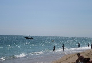Palm Beach