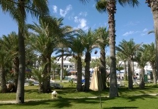 Magic Palm Beach Club Djerba (Sidi Mahrez)