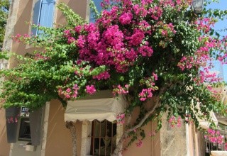 Apartmán Spiros I