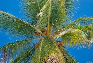 TRS Cap Cana