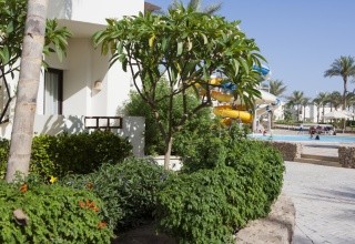 Sharm Resort