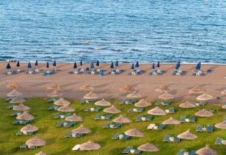 Apollo Beach