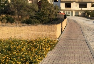 Dorieas