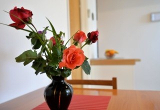 Apartmány Viola