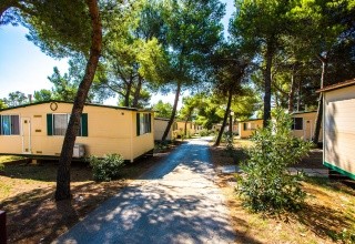Camping Arena Indije