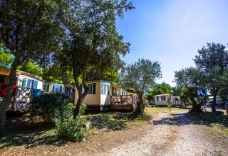 Camping Arena Indije