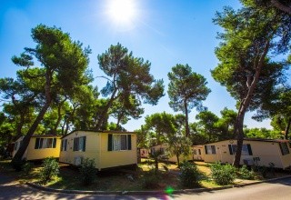 Camping Arena Indije