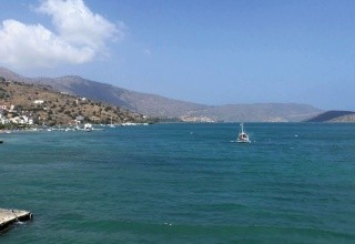Aristea