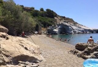 Elena's beach garden