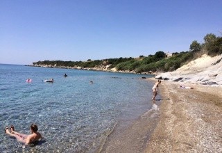 Elena's beach garden