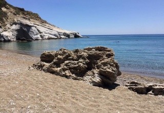 Elena's beach garden