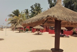 Royal Horizons Baobab