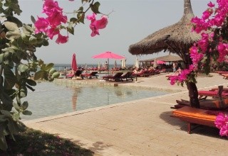 Royal Horizons Baobab