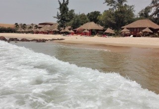 Royal Horizons Baobab