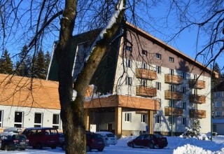Srní