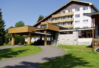 Srní