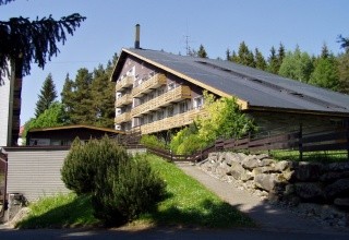 Srní