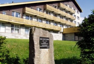 Srní
