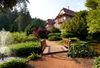 Jestřabí
