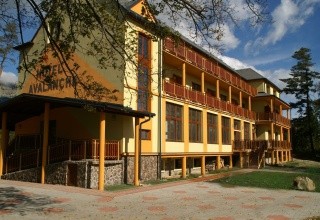 Avalanche (Štola)