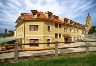 Záviš z Falkenštejna