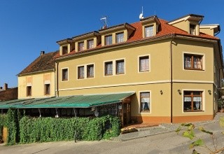 Záviš z Falkenštejna