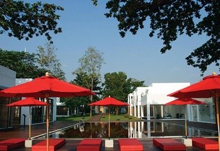 The Library