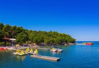 Plavi