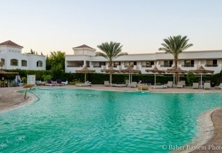 Viva Sharm