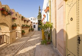 Medina Diar Lemdina