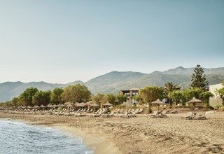 Phaea Cretan Malia