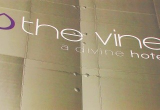 The Vine