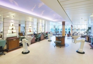 Vision of the Seas