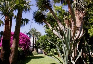 Apartmány Bajondillo
