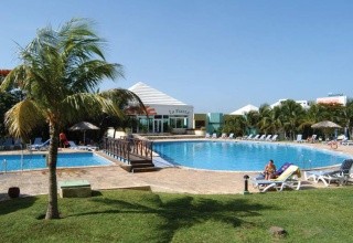 Allegro Palma Real