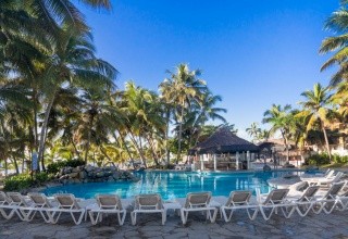 Coral Costa Caribe