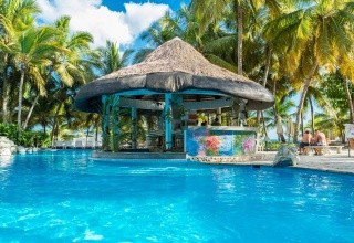 Coral Costa Caribe