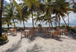 Coral Costa Caribe