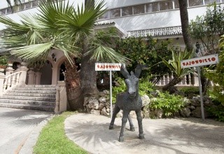 Apartmány Bajondillo
