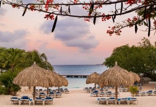 Dreams Curacao Resort Spa & Casino (Willemstad)