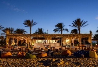 Desert Rose