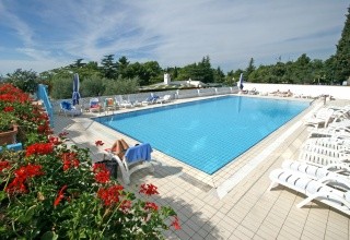 Plavi