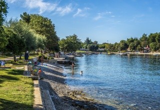 Plavi