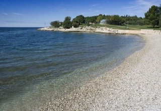 Plavi