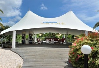 Chogogo Dive & Beach Resort (Jan Thiel)