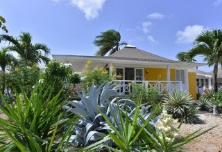 Chogogo Dive & Beach Resort (Jan Thiel)