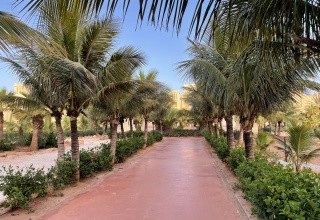 Riu Touareg