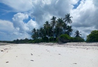 Nest Style Zanzibar (ex. La Madrugada Beach)